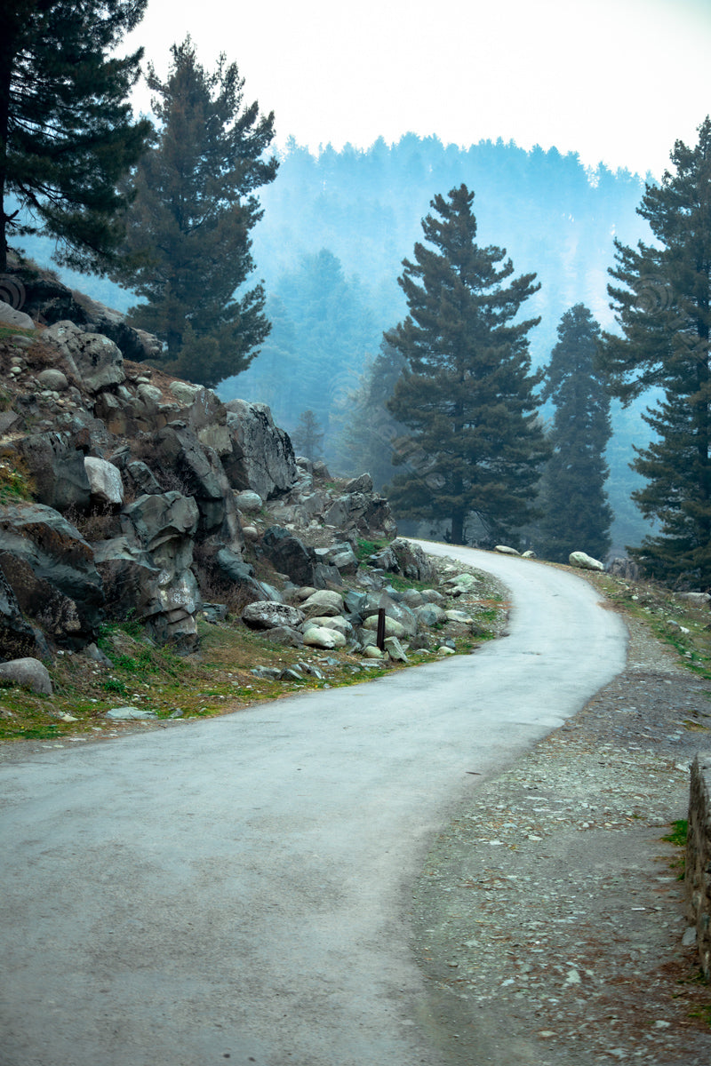 Aharbal's Splendor: Scenic Drive with Panoramic Vistas in Kashmir, India