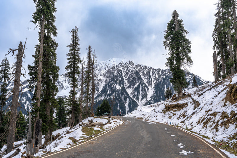 Glacier View: Scenic Road Amidst Snowy Pines in Bhaderwah, Jammu in India