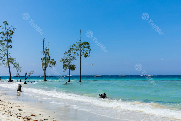 Elephant Beach in Havelock Island: A Stunning Sandy Destination for Tourists to Enjoy Boating, Skydiving, Snorkeling, Sunbathing and More