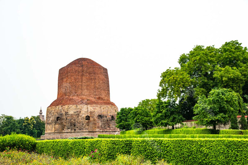 Enchanting Dhamekh Stupa: Majestic Structure with Exquisite Carvings amidst Greenery, Sarnath, Banaras