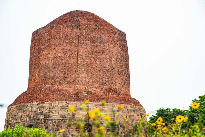 Dhamekh Stupa: Majestic Structure amidst Greenery, Sarnath, Banaras