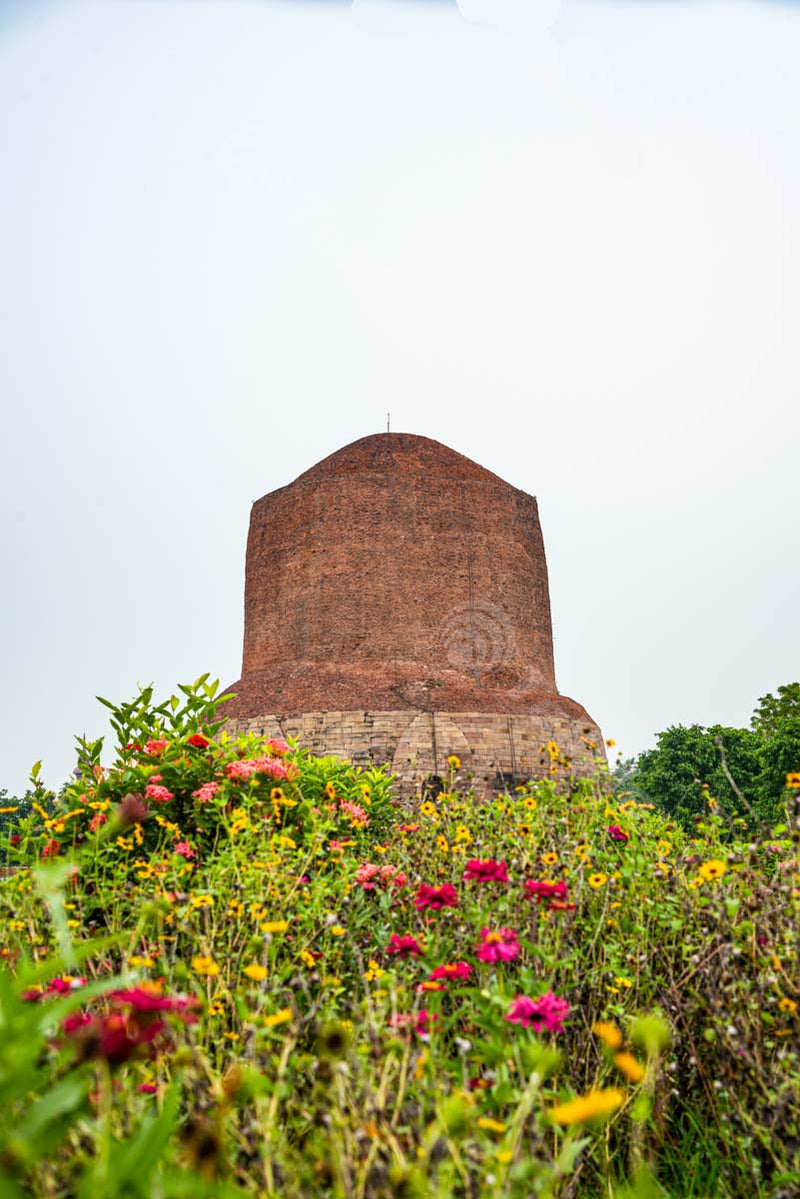 Dhamek Stupa: Garden View of UNESCO World Heritage in Sarnath, Uttar Pradesh