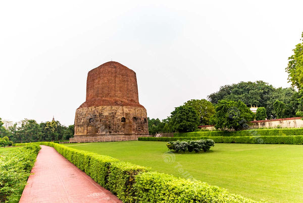 Serene Oasis: Buddha Stupa Amidst Greenery in Sarnath, Uttar Pradesh