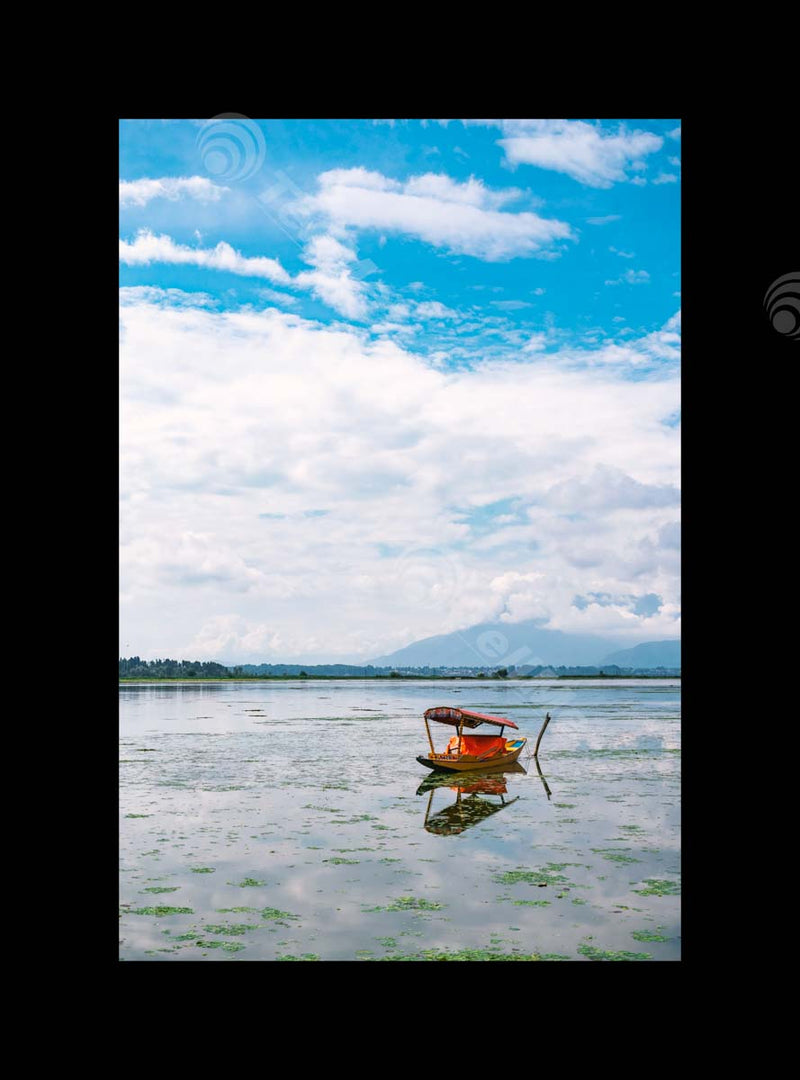 Scenic View of Dal Lake with Boat in Kashmir