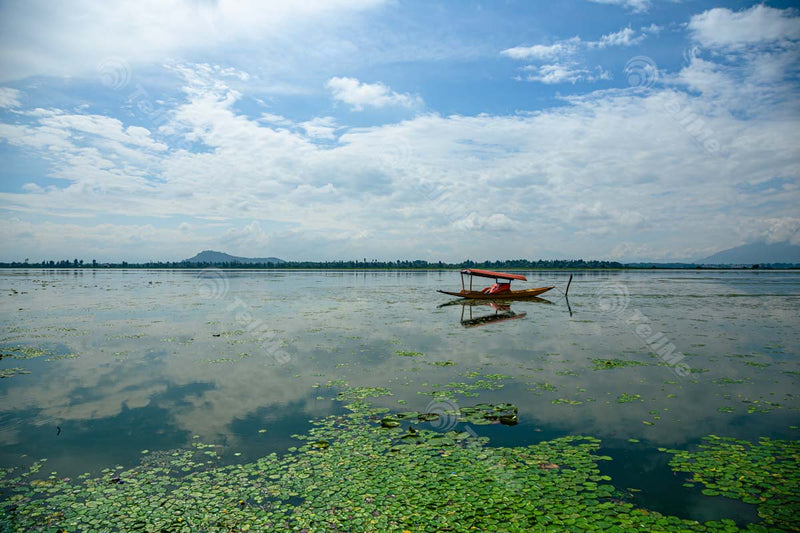 Serene Dal Lake: A Scenic View with Boat in Kashmir