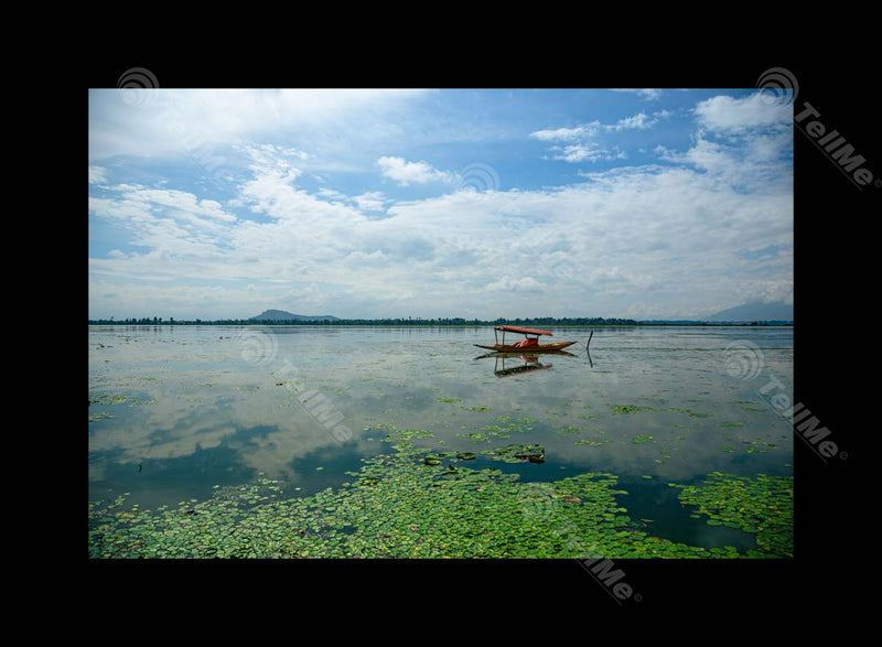 Tranquil Reflections: Close-Up of Dal Lake's Serene Beauty with a Boat, Kashmir