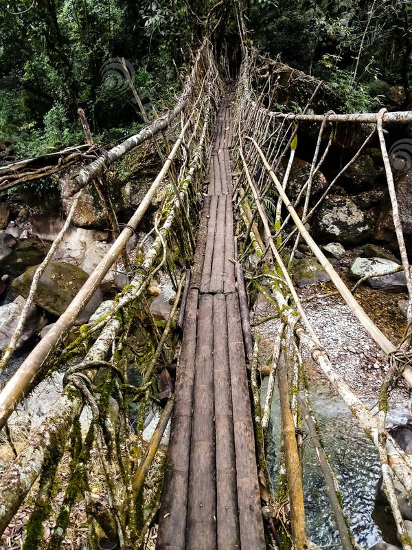 Nongriat's Living Roots Bridge: Famous Double Decker in Meghalaya, India
