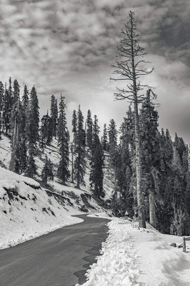 Monochrome Winter Drive: Road, Trees, Clouds, and Snow in Bhaderwah, Jammu in India