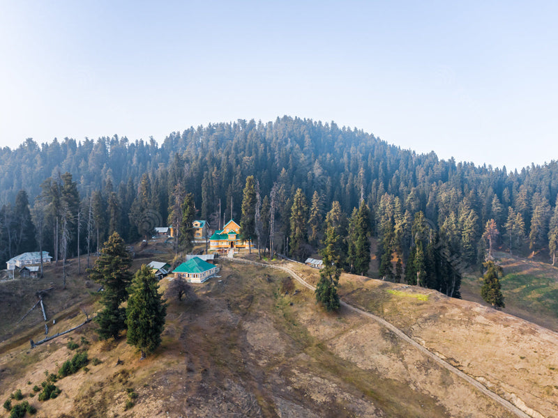 Aerial View of Pine Trees, Resorts, and Roads - Gulmarg in Kashmir, India