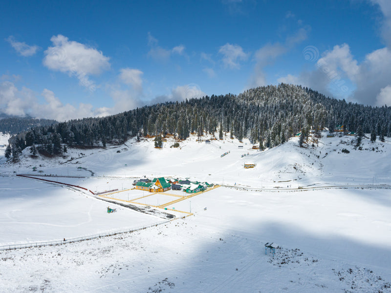 Snowy Golf Course: Sunlit Pasture, Resorts, and Tall Pine Trees - Gulmarg, in Kashmir, India