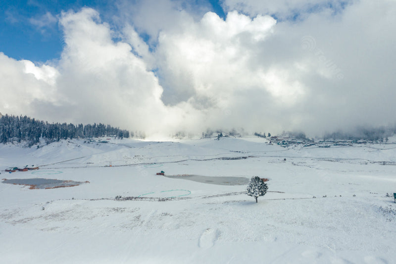 Scenic Landscape with Trees and Frozen Lake by the city of Gulmarg, in Kashmir, India