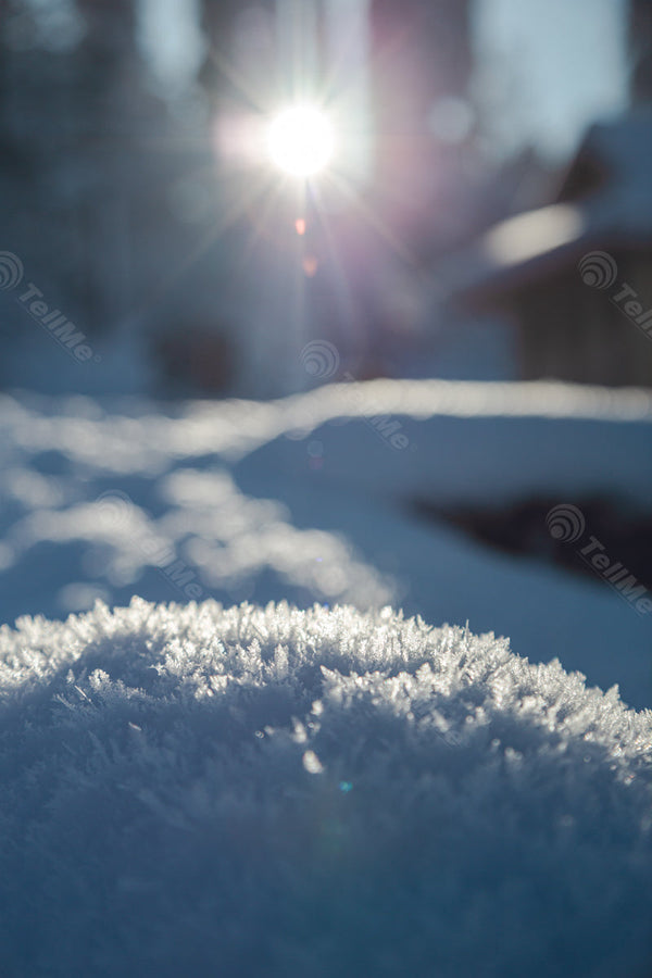 A Close up view of the snow in a sunny day - Gulmarg, in Kashmir, India