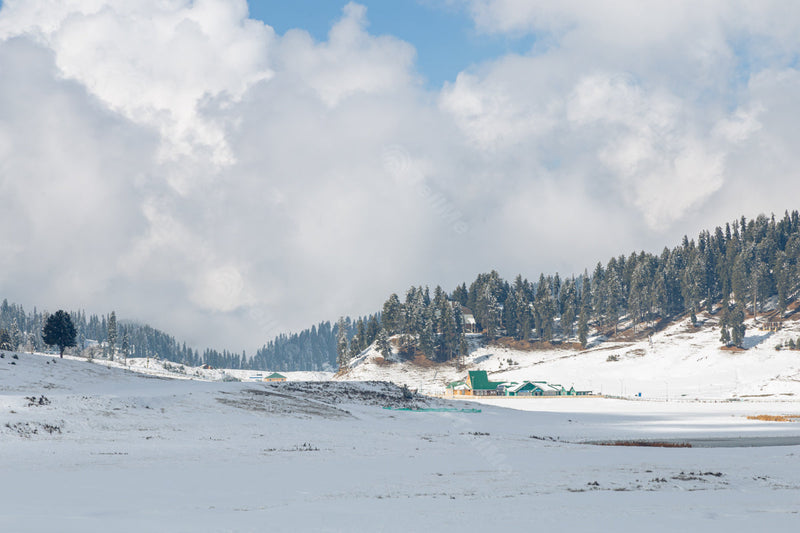 Stunning Winter Landscape: Sunny and Shady Views of Snow in Gulmarg, Kashmir, India