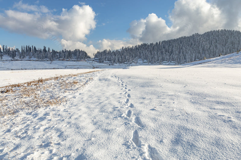 A picturesque winter mountain landscape and a snow-covered path in the steppe in Gulmarg, Kashmir, India