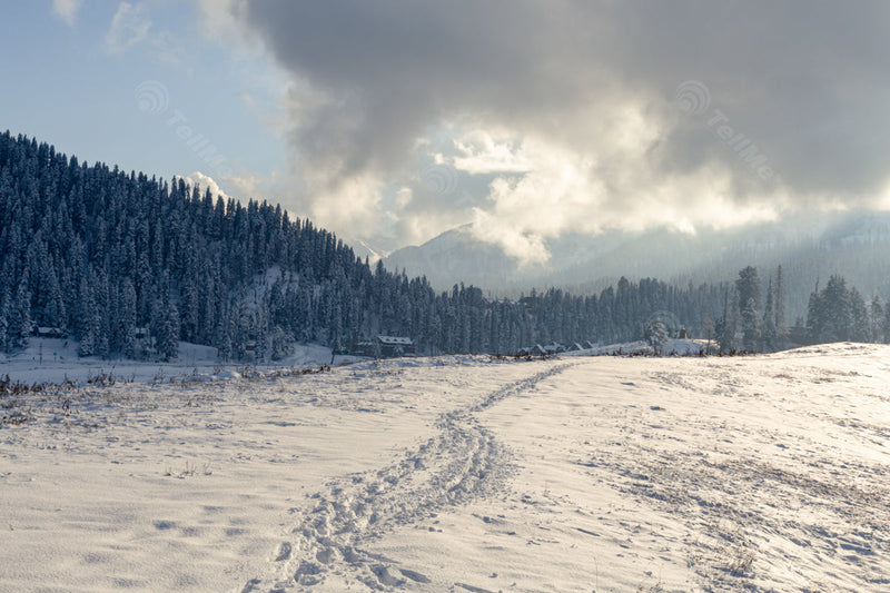 Magnificent Gulmarg: A Captivating Snowy Wonderland in Gulmarg, Kashmir, India