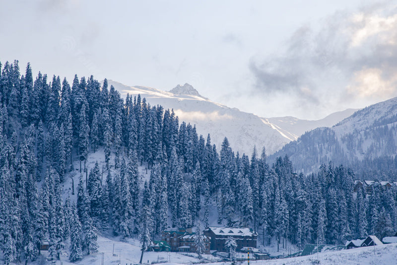 Gulmarg Majestic Apharwat peak on the background and Snowy Landscape: Houses Amidst Nature in Kashmir, India