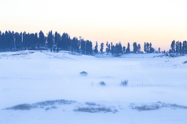 Snowy Landscape of Gulmarg: Tall Pines, huts and Winter Lodgings in Kashmir, India