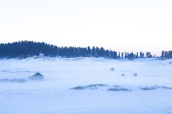 Gulmarg's Winter Wonderland: Picturesque Houses and Pine Trees in Kashmir, India