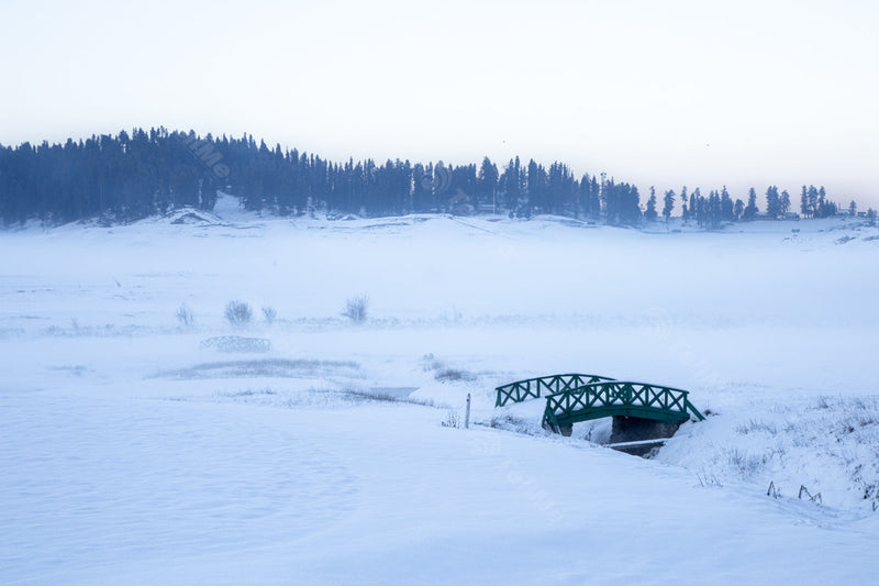 Snow-covered bridges and golf course are a familiar sight in the winter landscape/Winter Scenery: in Gulmarg, Kashmir, India