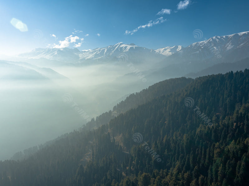 Aerial View early morning of Snowy Peaks and Tall Trees - Gulmarg in Kashmir, India