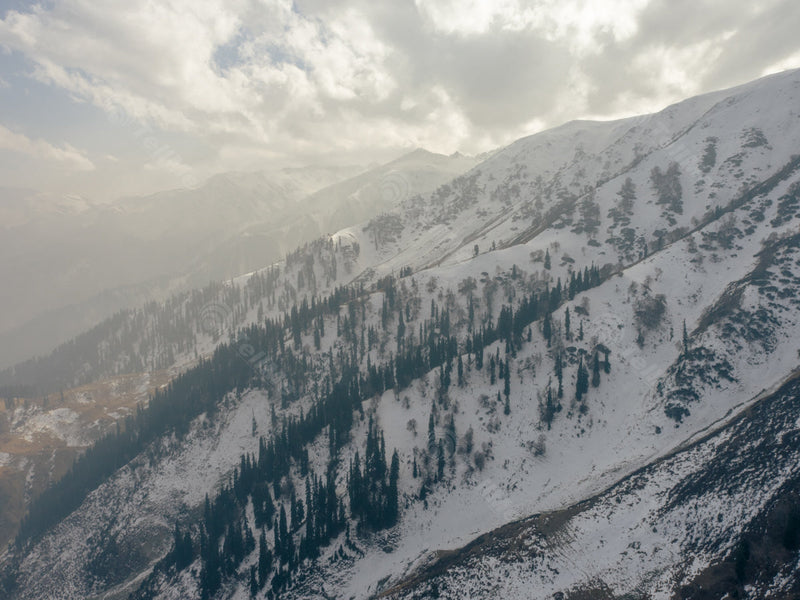 Snowy Valley from Above: Aerial View of Mountains and Trees - Gulmarg, in Kashmir, India