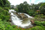 Colorful waterfall in Kerala