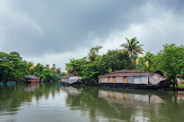 Houseboats on Vembanad Lake: Cloudy Sky and Greenery in Kerala