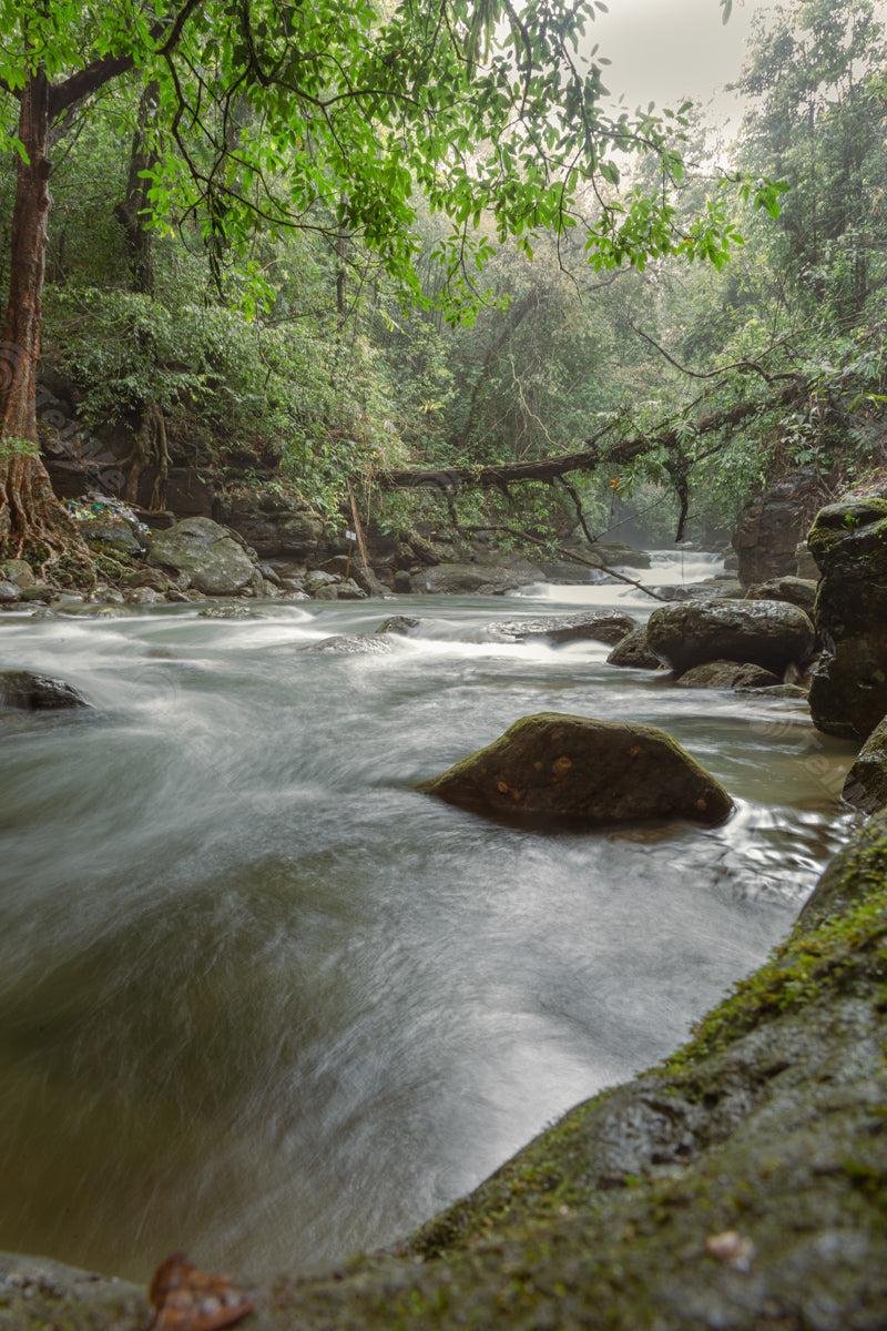 Nature's Serenade: The Splashing River East Khasi Hills Meghalaya