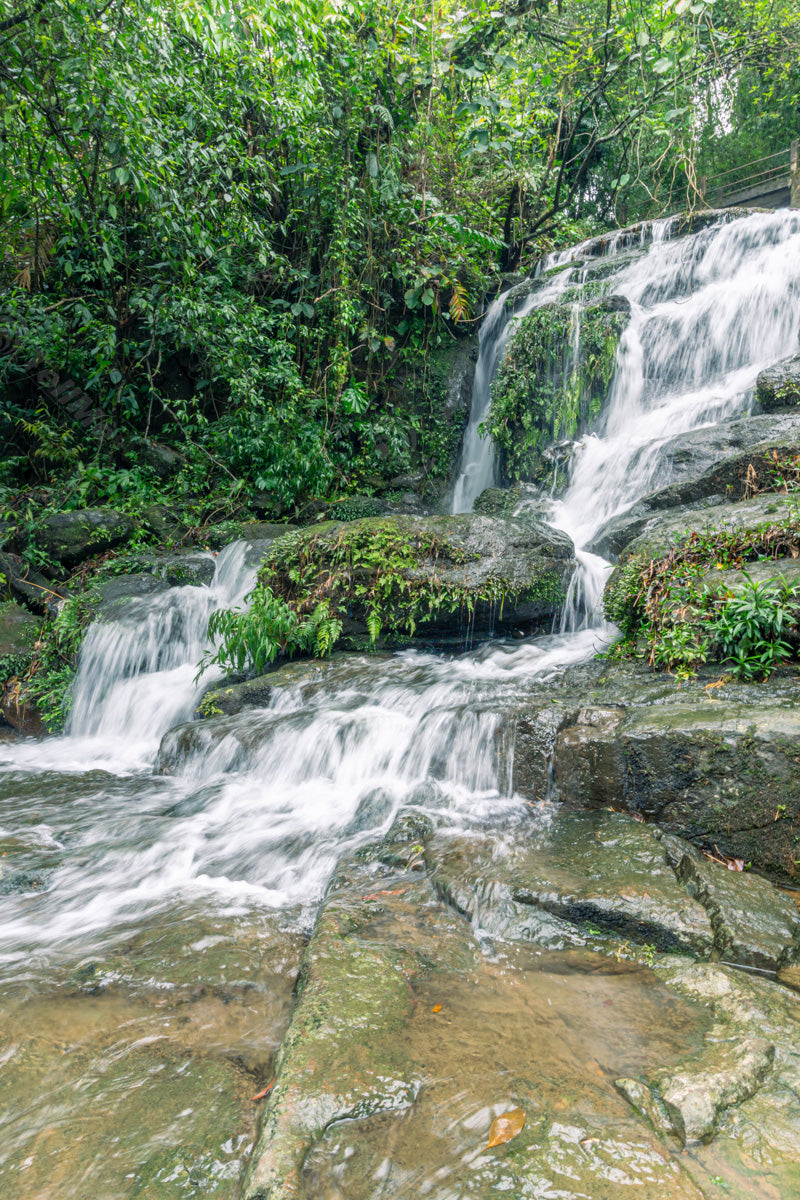 Jagged Cascades: Rapid Waterfall - Living root bridge in Mawlynnong found in East side of Khasi Hills, Meghalaya, India