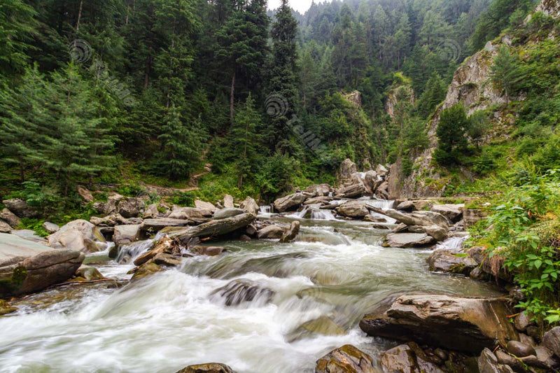 Ningale naala rushing waters amidst majestic mountains and dense forest in Gulmarg, Kashmir