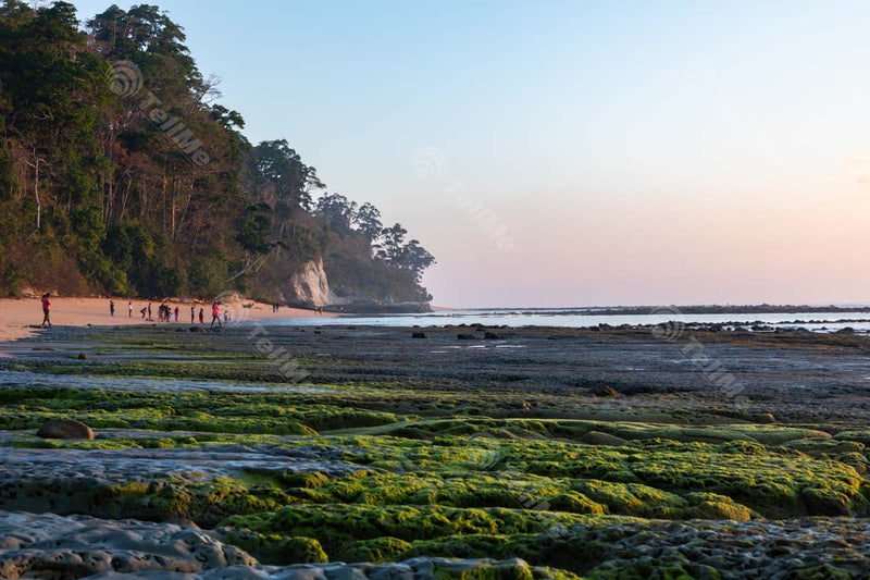 Tourists Exploring Sitapur Beach on Neil Island, Andaman and Nicobar Islands