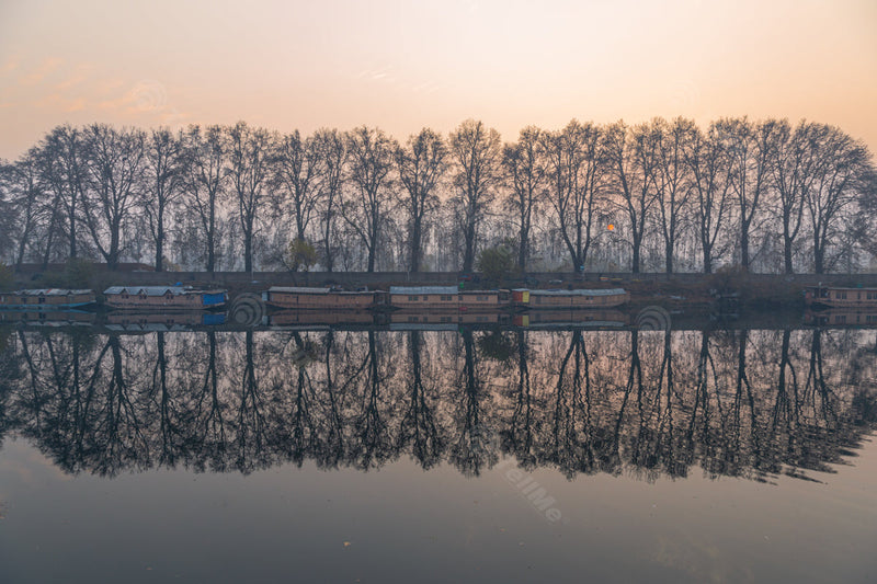 Reflection of Houseboats and Trees at Sunrise in Srinagar, Kashmir,India