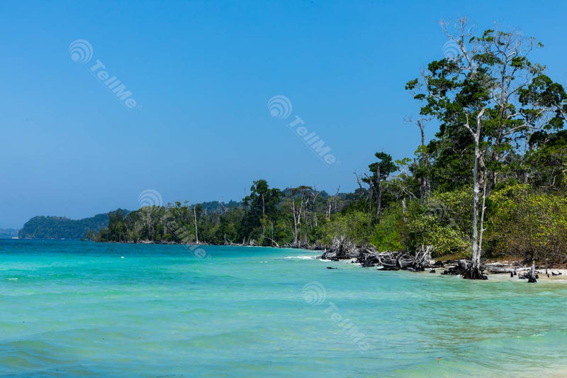 Elephant Beach (Havelock Island): Awe-Inspiring View in Andaman and Nicobar Islands