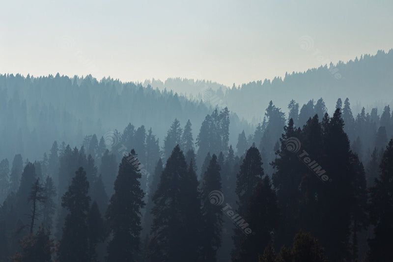 Misty Meadow of Tosa maidan, Kashmir in India