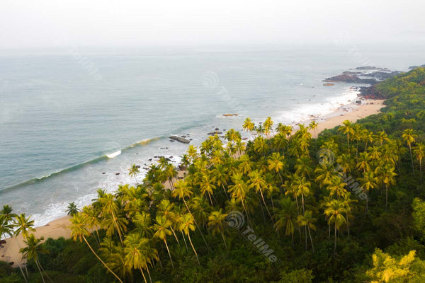 Breathtaking Aerial View of Xandrum Beach in Goa with Coconut Trees and Waves
