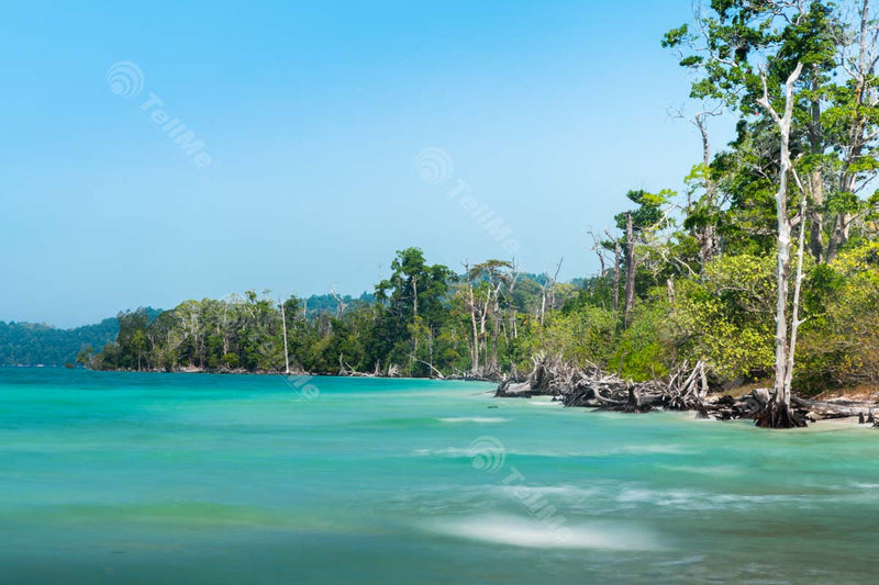 Breathtaking View of Elephant Beach (Havelock Island) in Andaman and Nicobar Islands