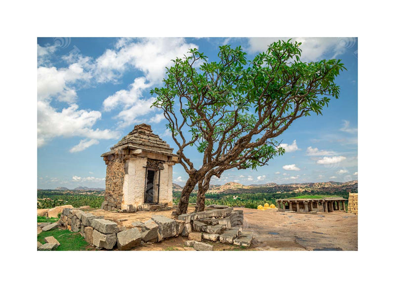 Serene Ruins: Hindu Temple and Green Tree atop Hemakuta Hill, Hampi, Karnataka